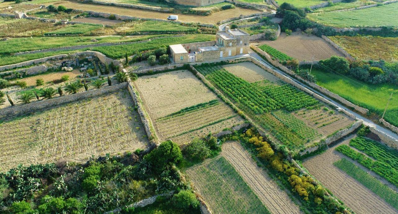 Sant Anton Tal-Qabbieza Farmhouse Villa Kerċem Exteriör bild